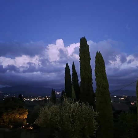 Villa The Green Door - Casa Vacanze Vicino A Roma Fonte Nuova Esterno foto